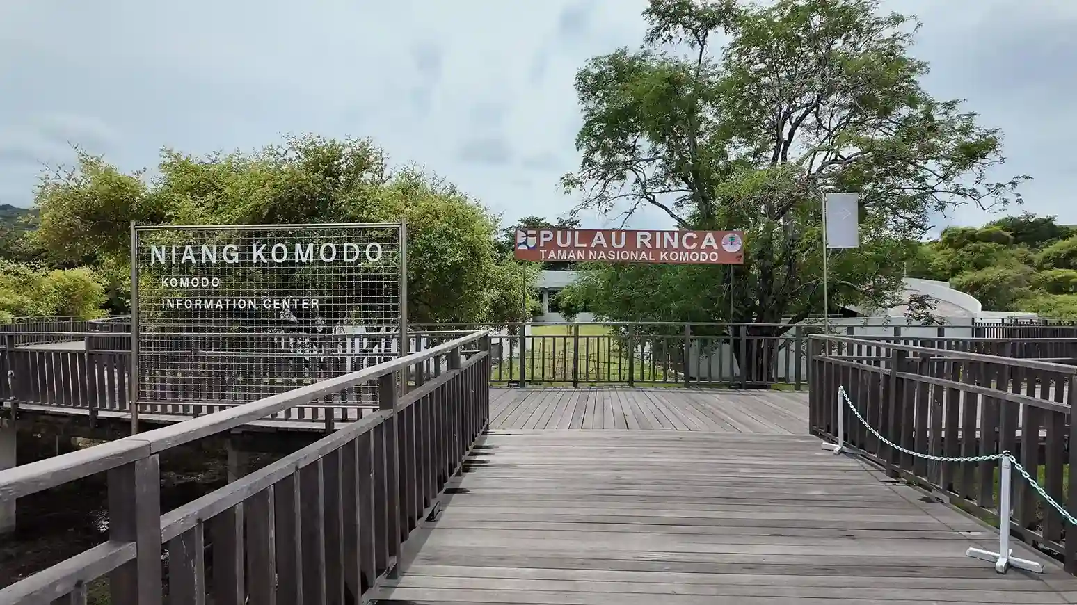Rinca Island in August: What to Expect