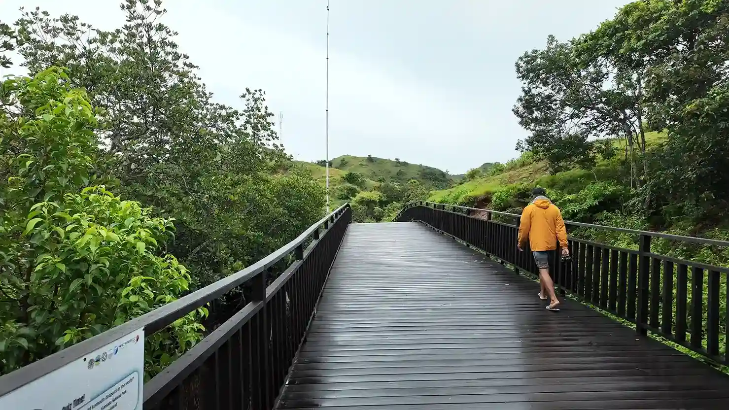 Is It Safe to Visit Rinca Island with Komodo Dragons?