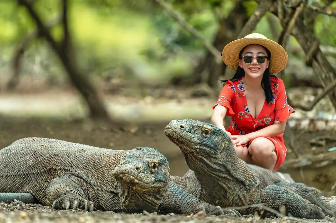 Rinca or Komodo Island: Terrain, Crowds, Crossing, Cost