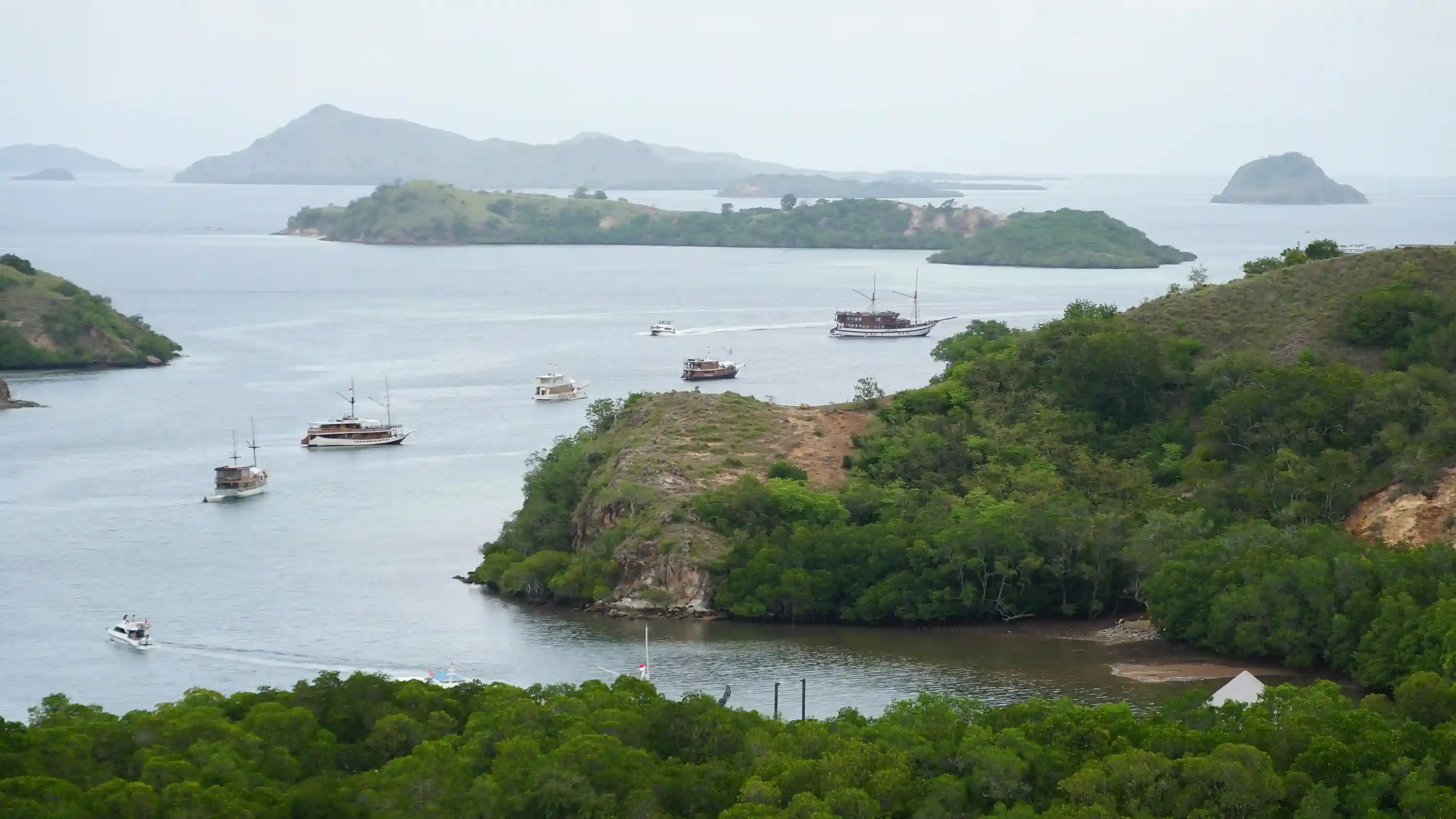 Getting to Rinca Island from Bali, Jakarta & Beyond