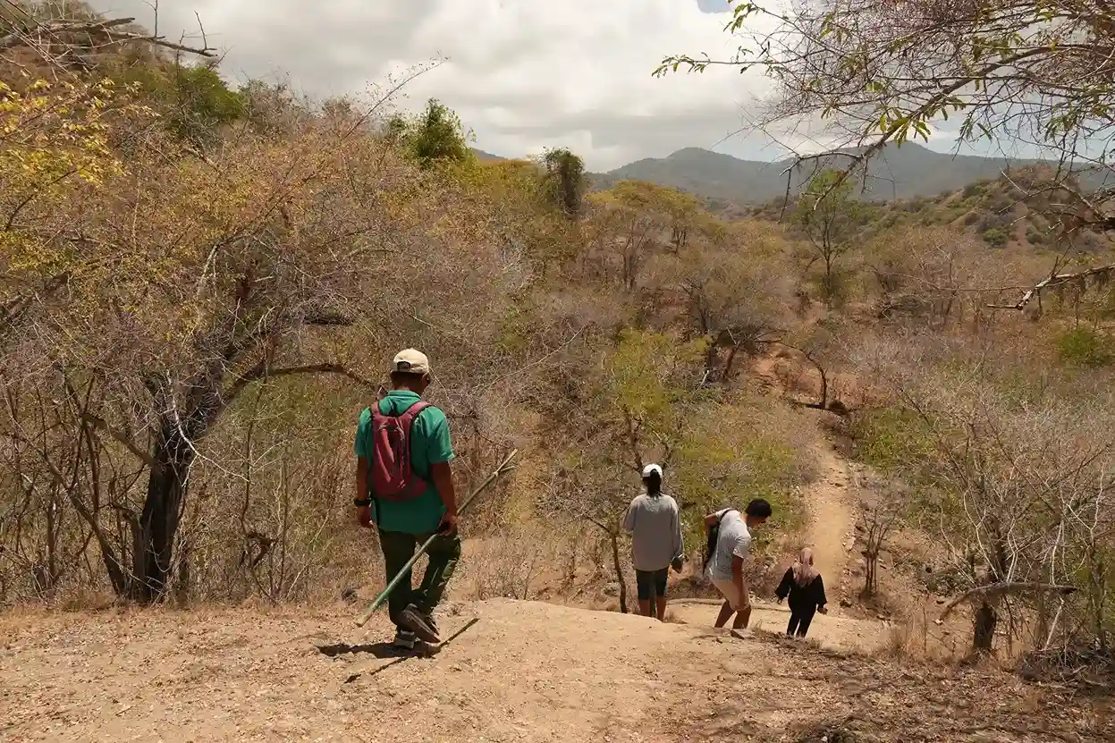 Permits, Park Fees & New Rules for Rinca & Komodo