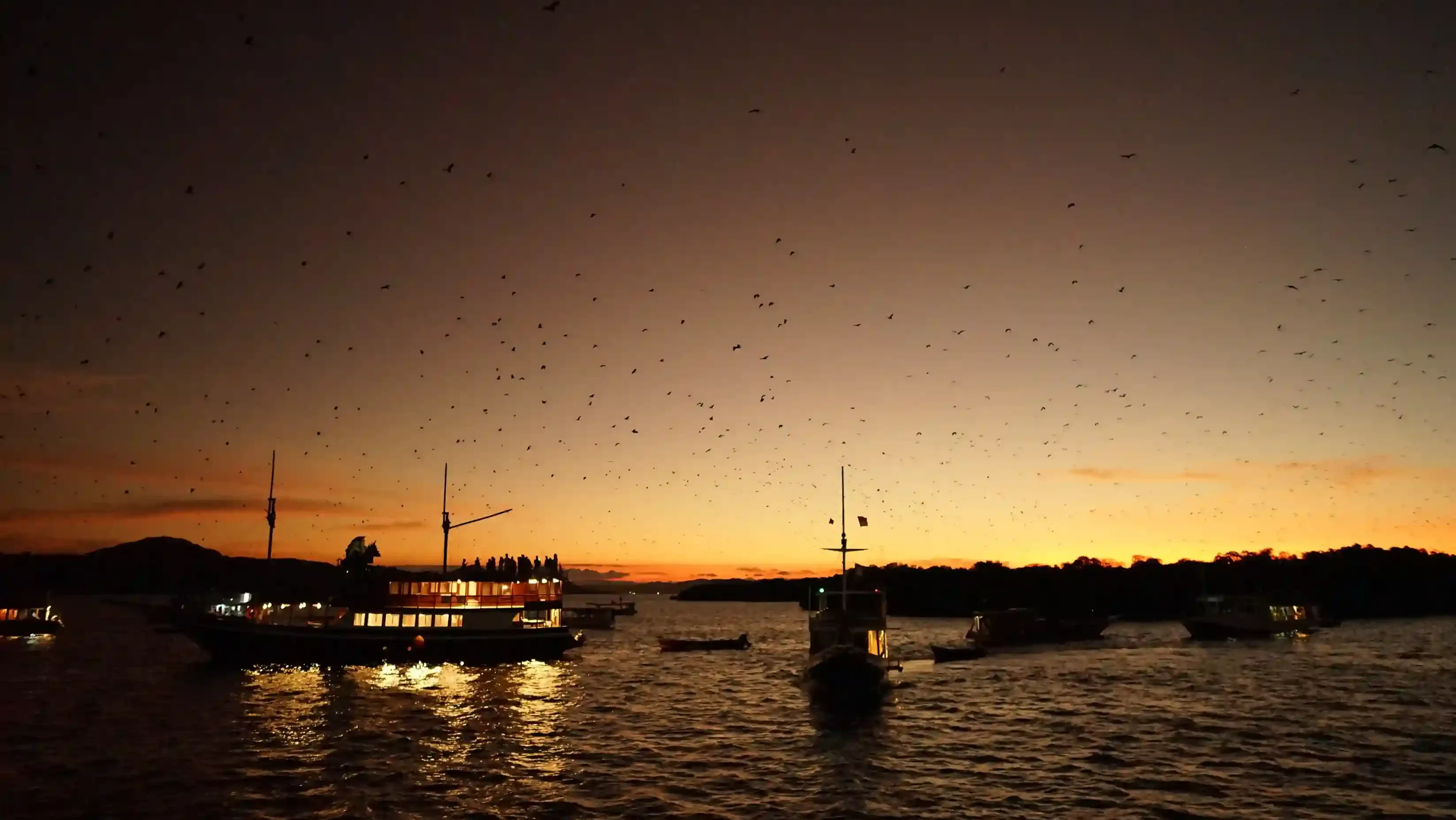 Dry-Season Travel to Rinca Island: What Changes