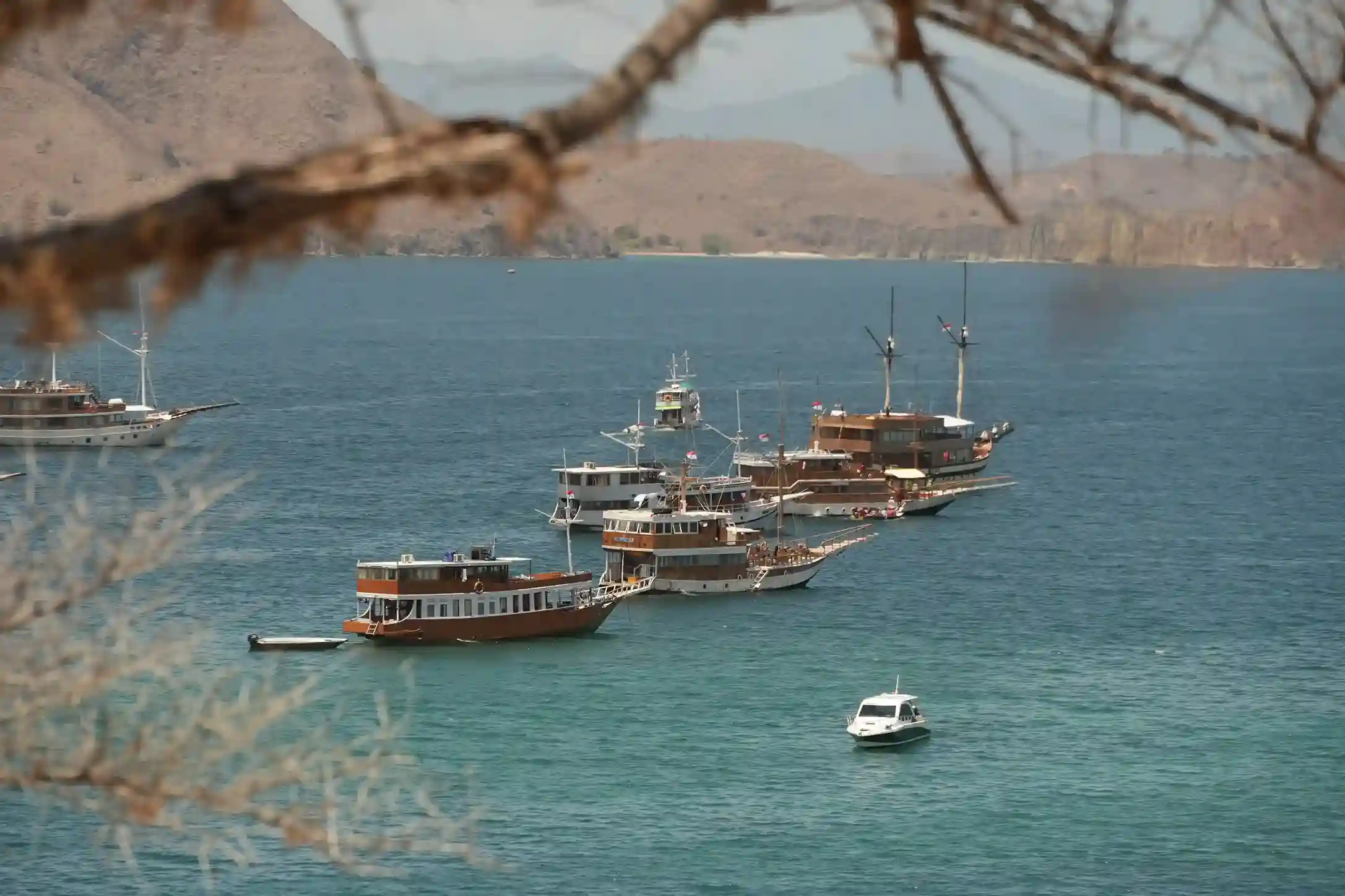 Can You Fly a Drone on Rinca Island? Rules & Permits