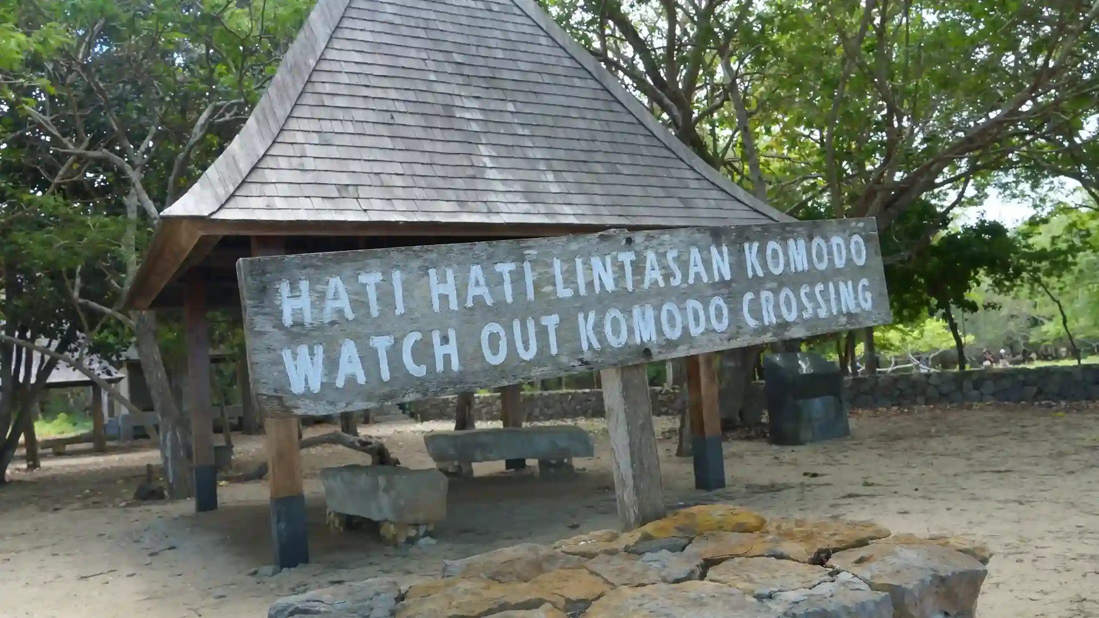 Rinca Island Visitor Quota: How the Daily Limit Works