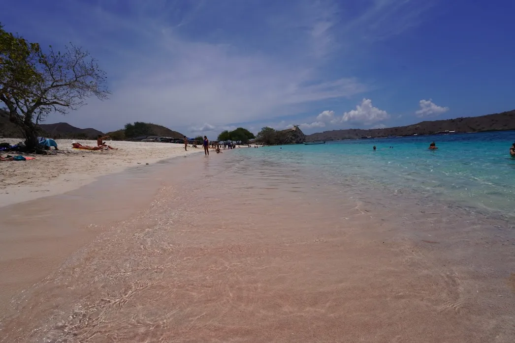 Cash, Cards & Tipping on Rinca Island